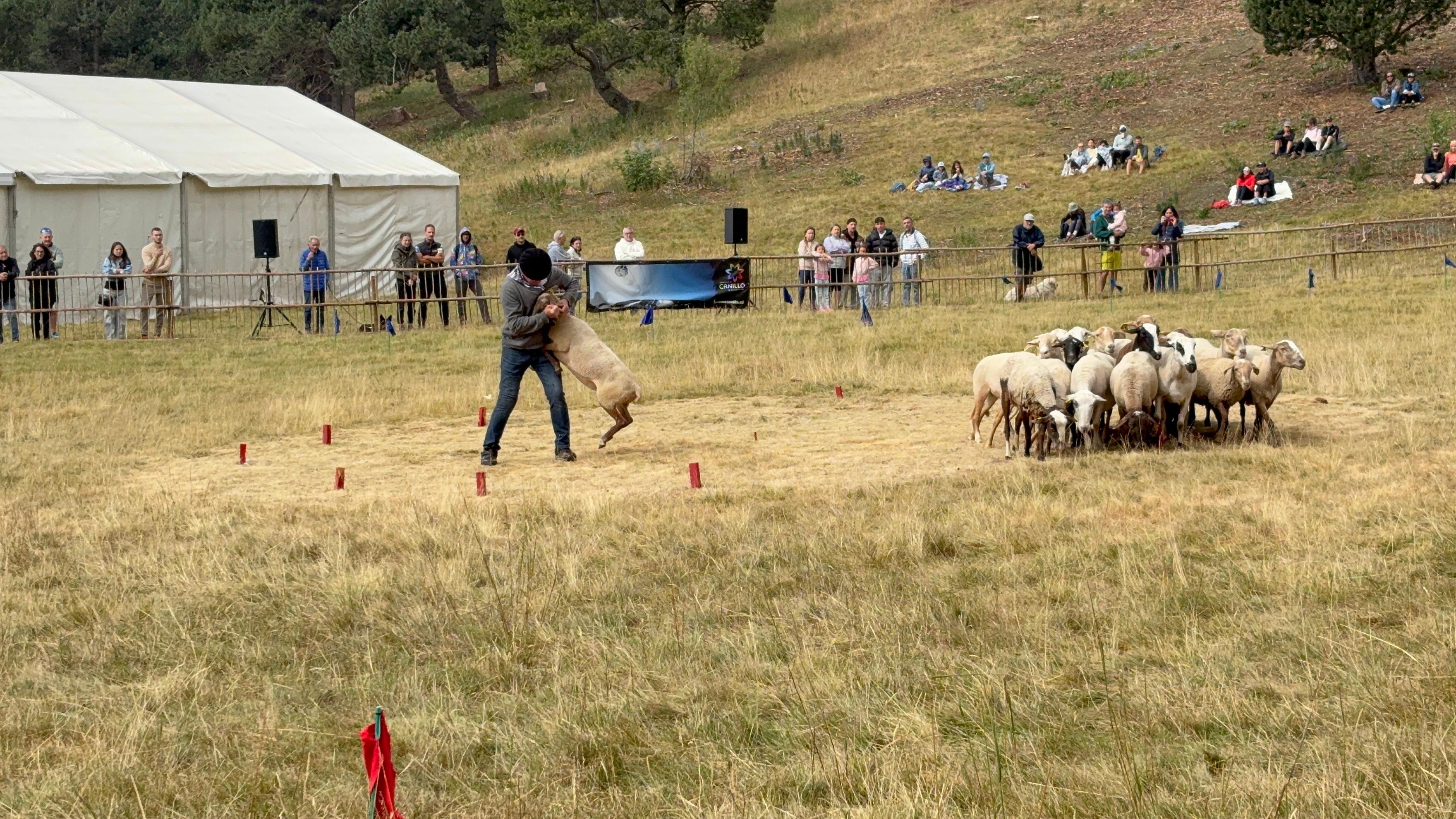 Concurs de Gosos d’Atura als Planells de Mereig, Canillo