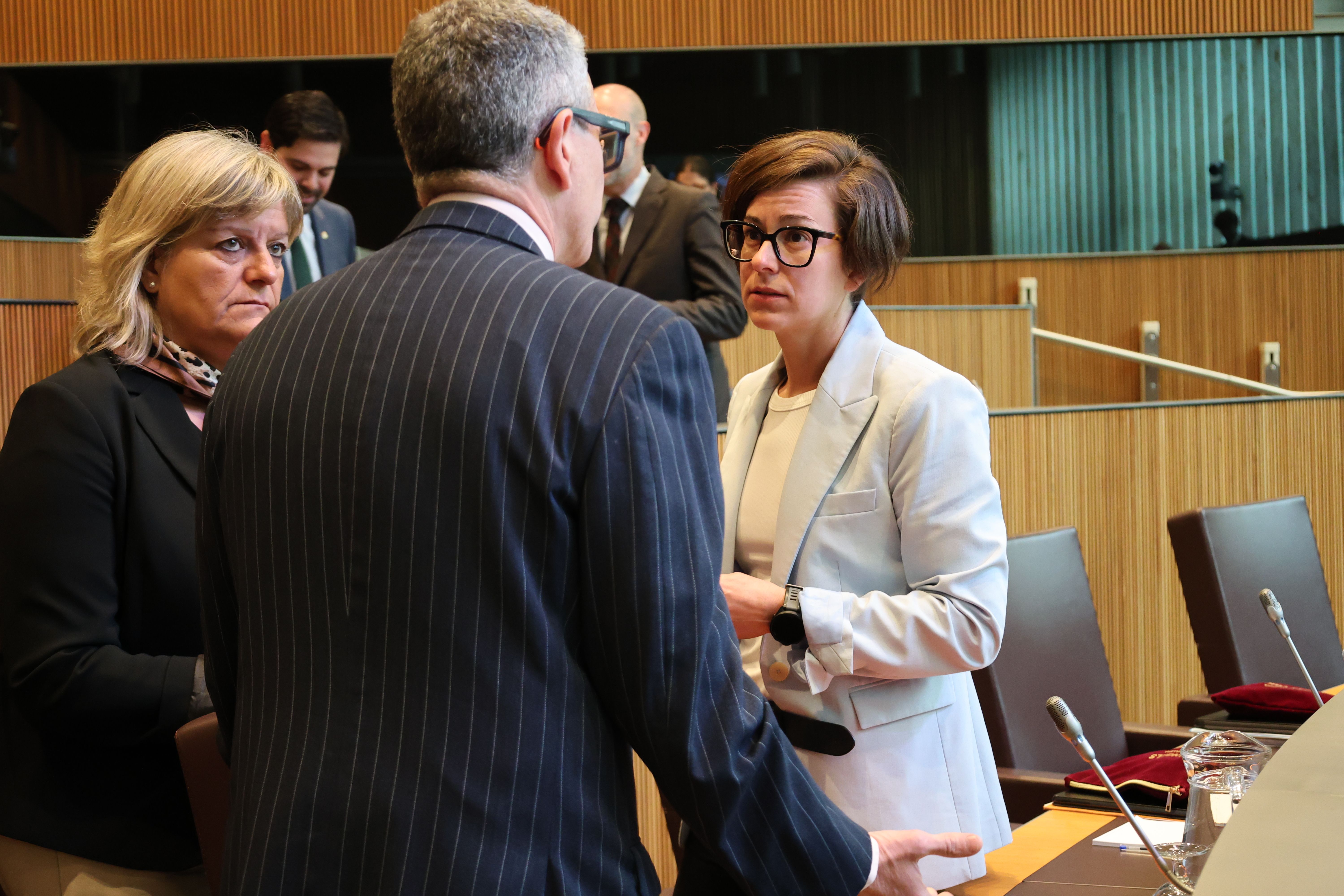 Núria Segués al Consell General.