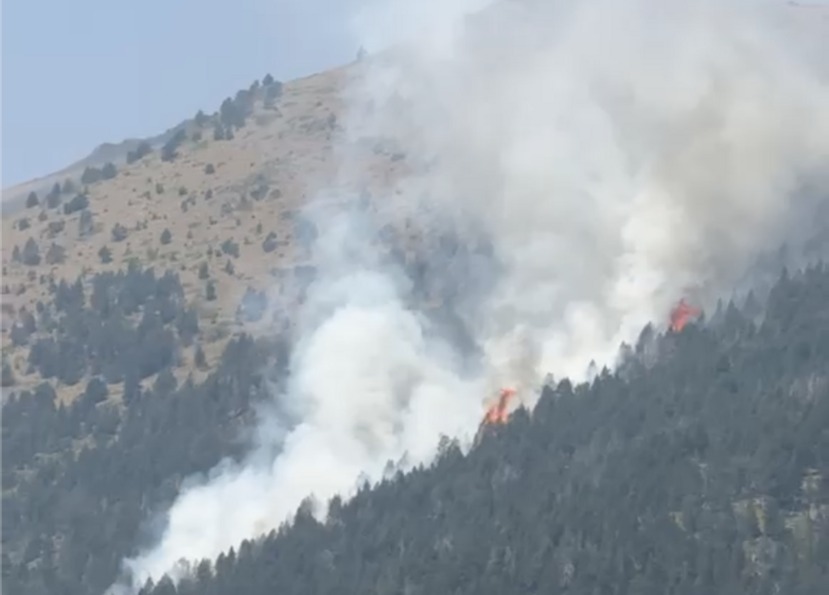 Les flames del foc que afecta la zona d'Os de Civís.