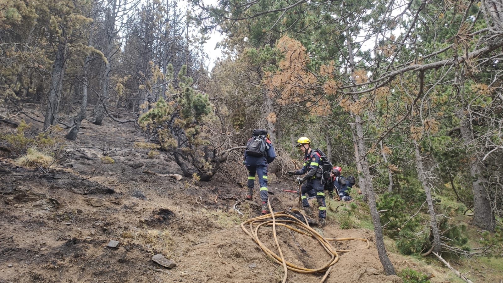 Bombers fent una última repassada. Bombers fent una última repassada.