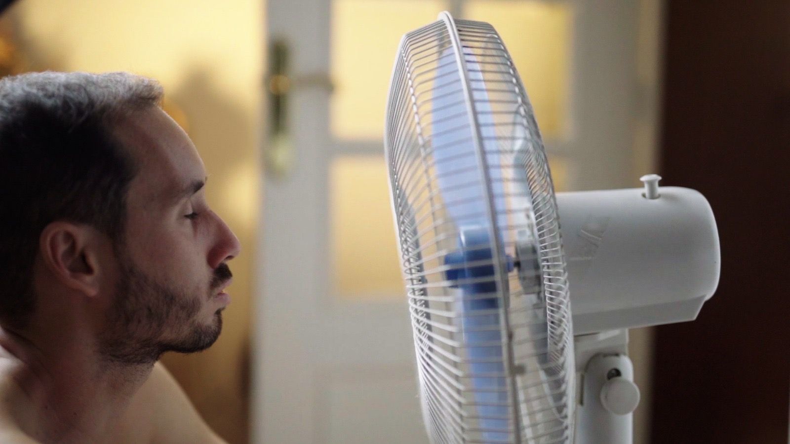 Ventilador