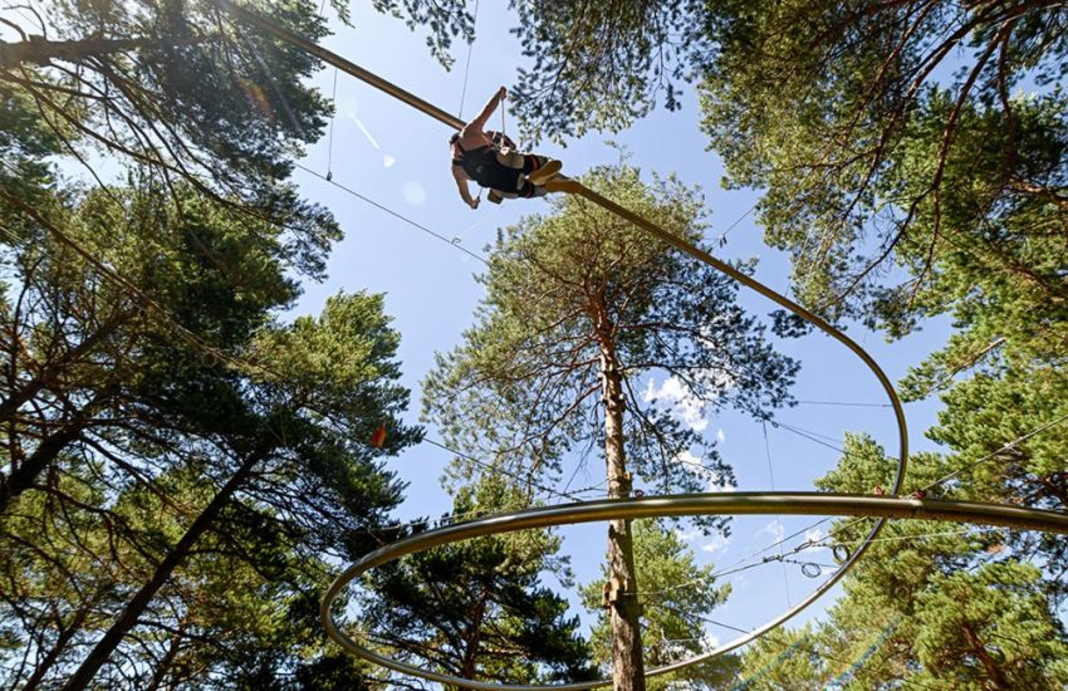 Una imatge d'arxiu del 'forest line'.