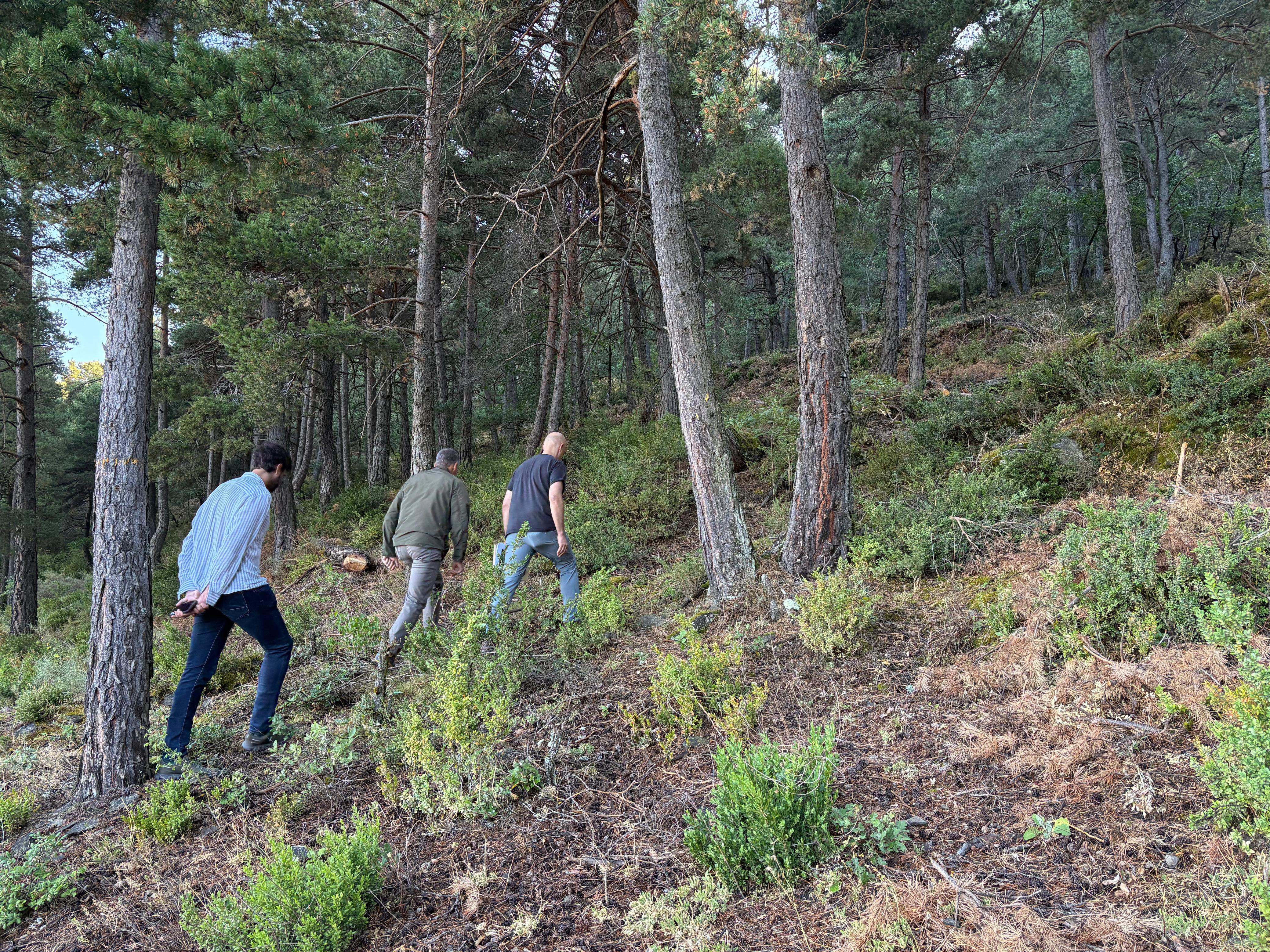 El Bosc dels Feners, aquest matí. La portaveu del Sindicat, Rebeca Bonache.