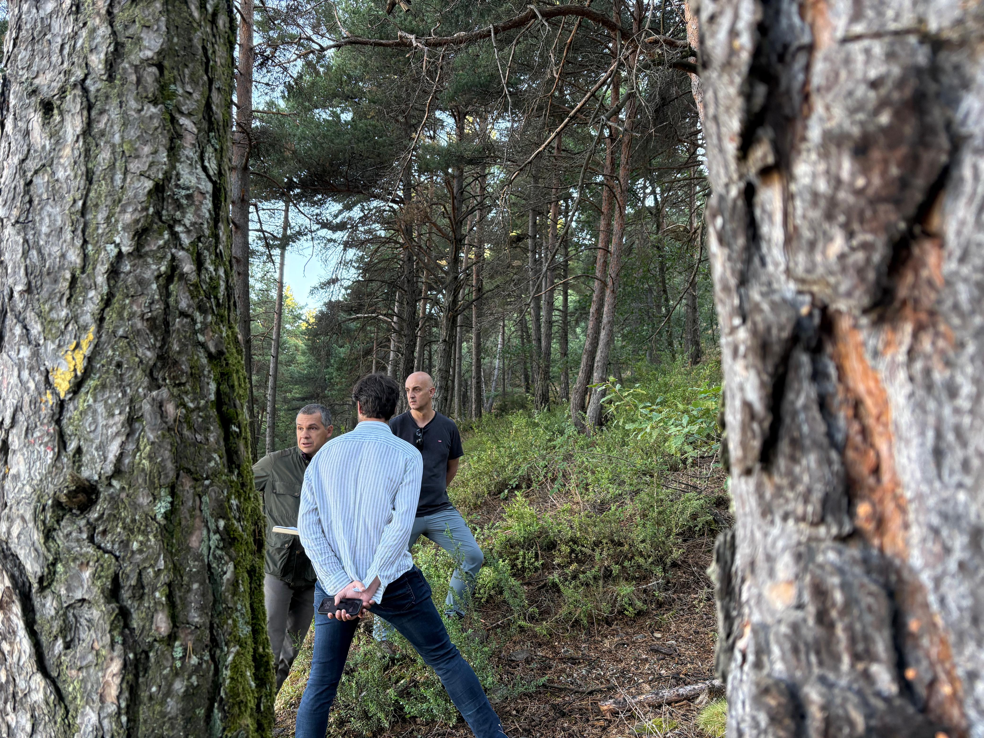 L’actuació també pretén millorar la salut i la biodiversitat del bosc. La portaveu del Sindicat, Rebeca Bonache.