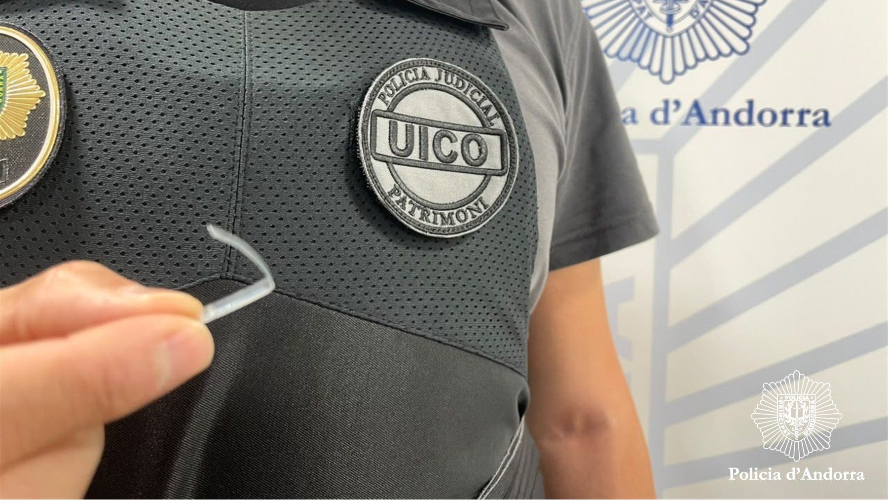 policia patrimoni