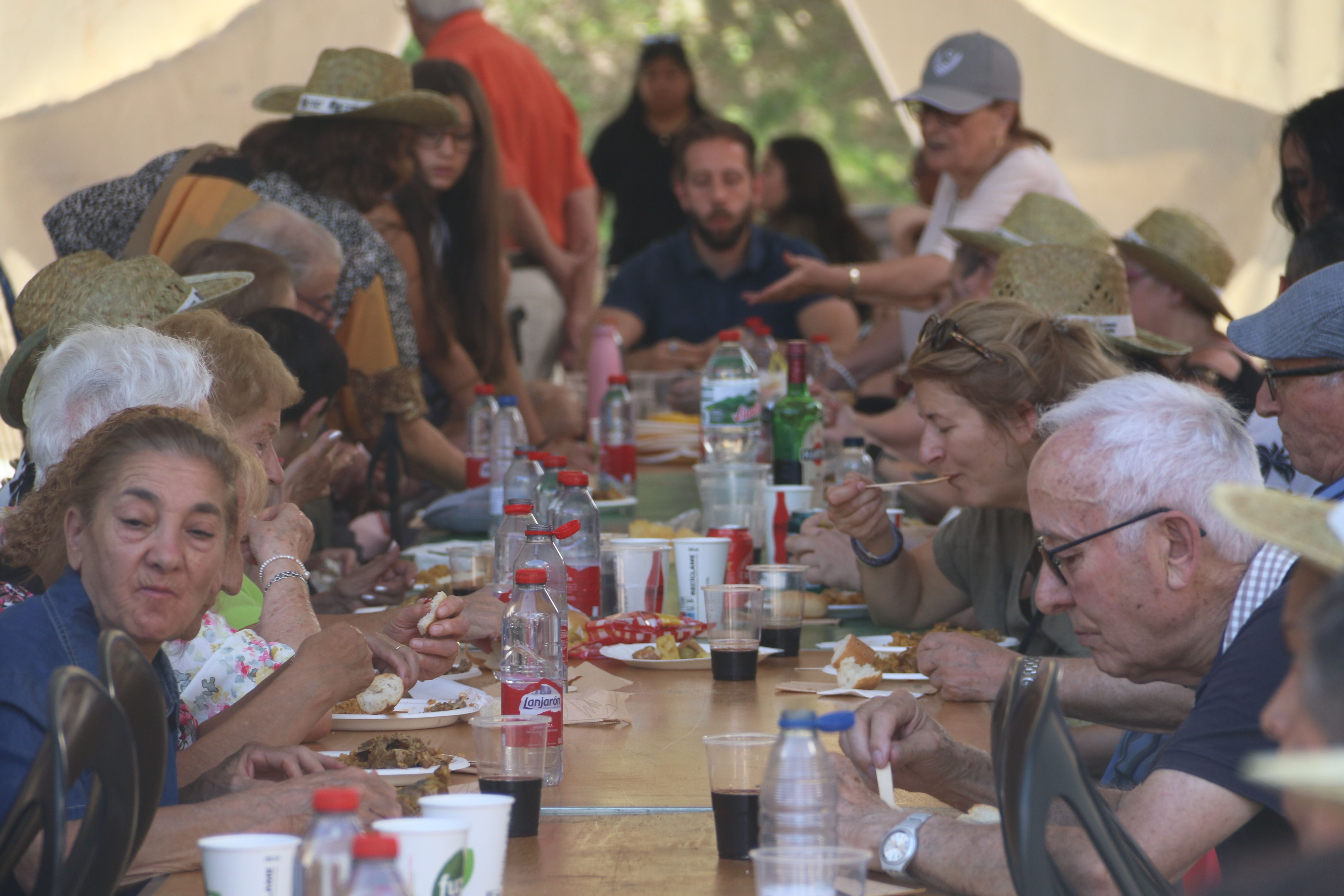 Degustant l'arròs ben entaulats. Degustant l'arròs ben entaulats.
