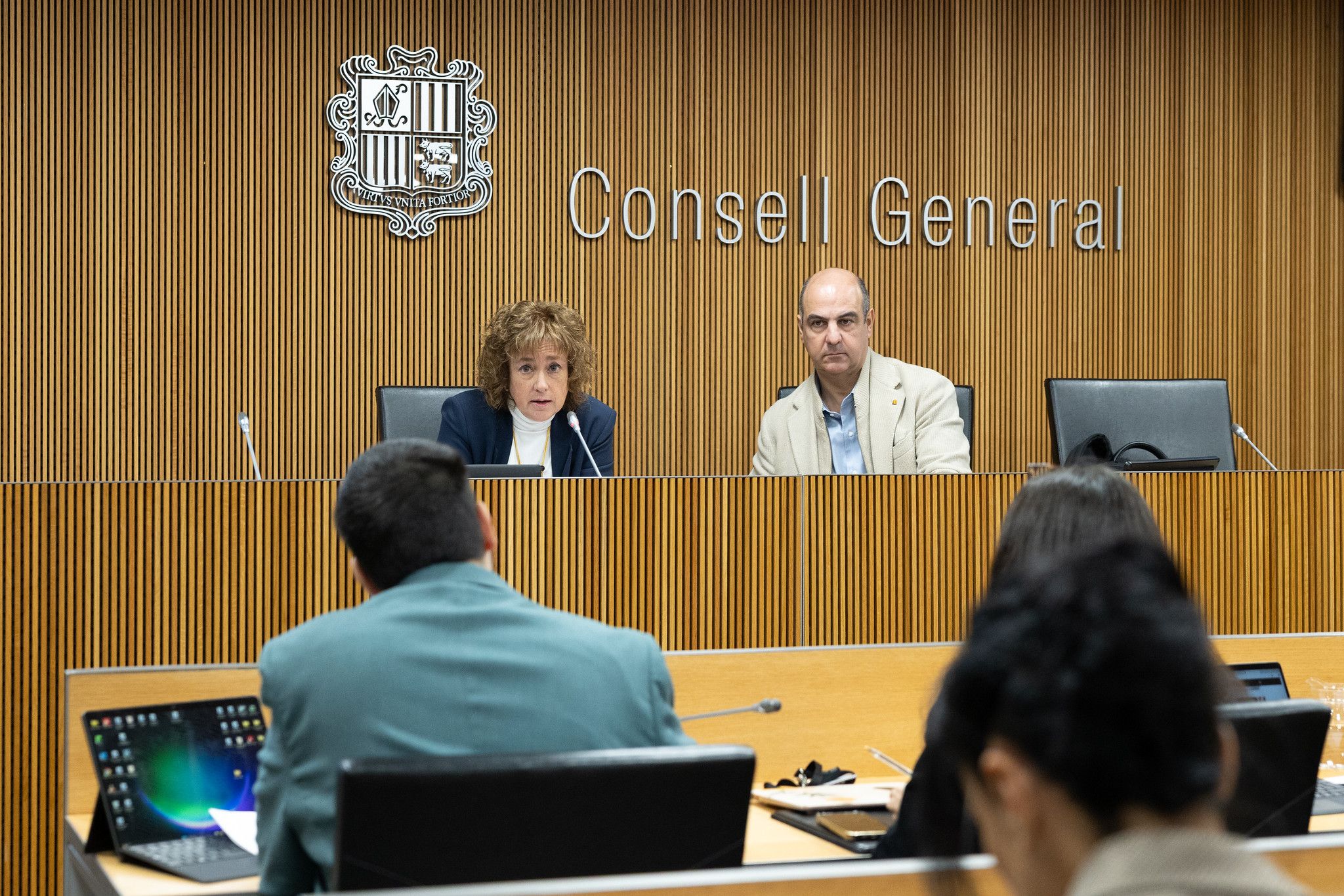 La presidenta de l'AREB, Sílvia Cunill, respon a Baró en una compareixença al Consell General. La presidenta de l'AREB, Sílvia Cunill, respon a Baró en una compareixença al Consell General.