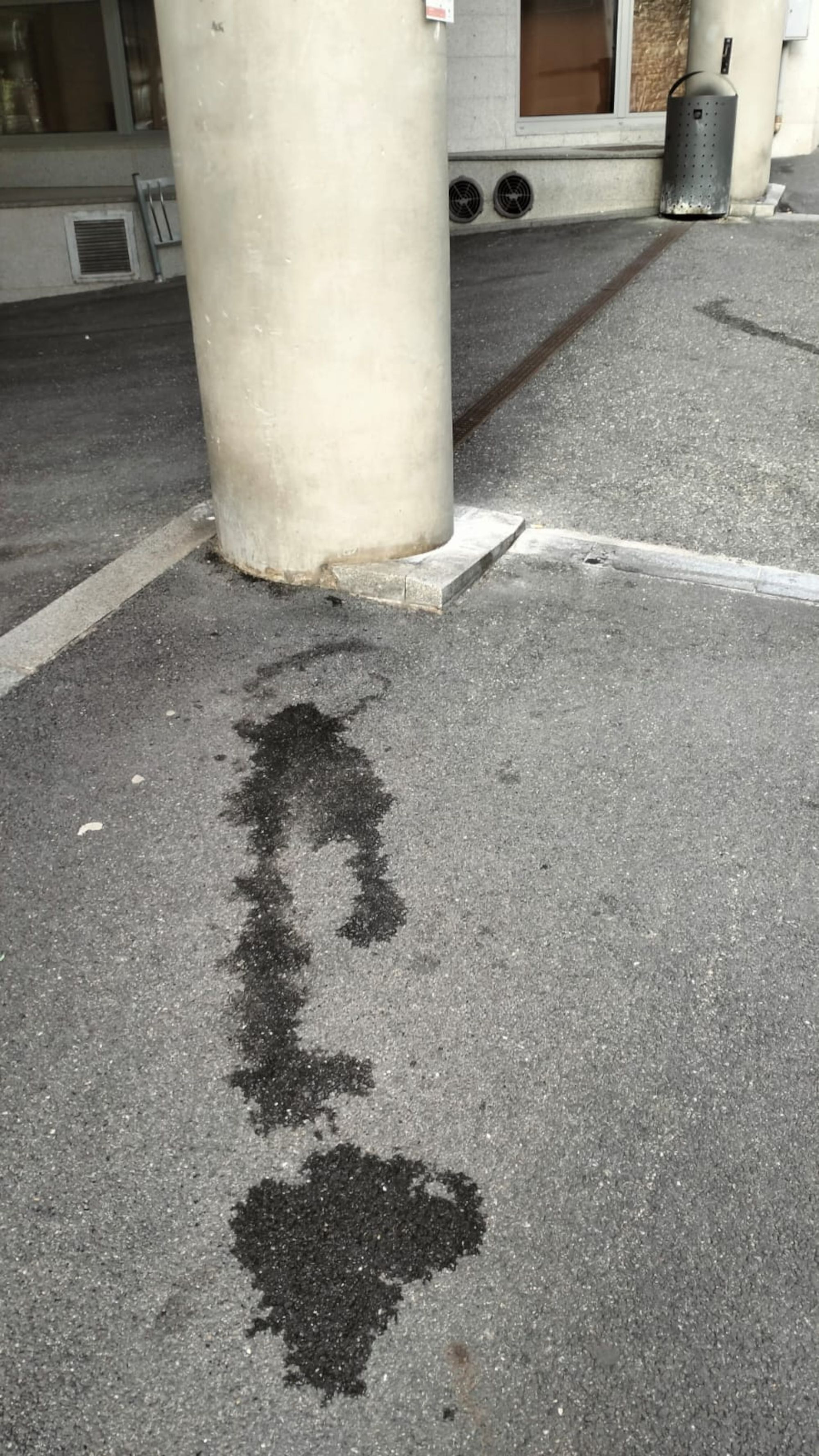 Les miccions són cada cop més comunes als carrers de la zona del Pujal. Les miccions són cada cop més comunes als carrers de la zona del Pujal.