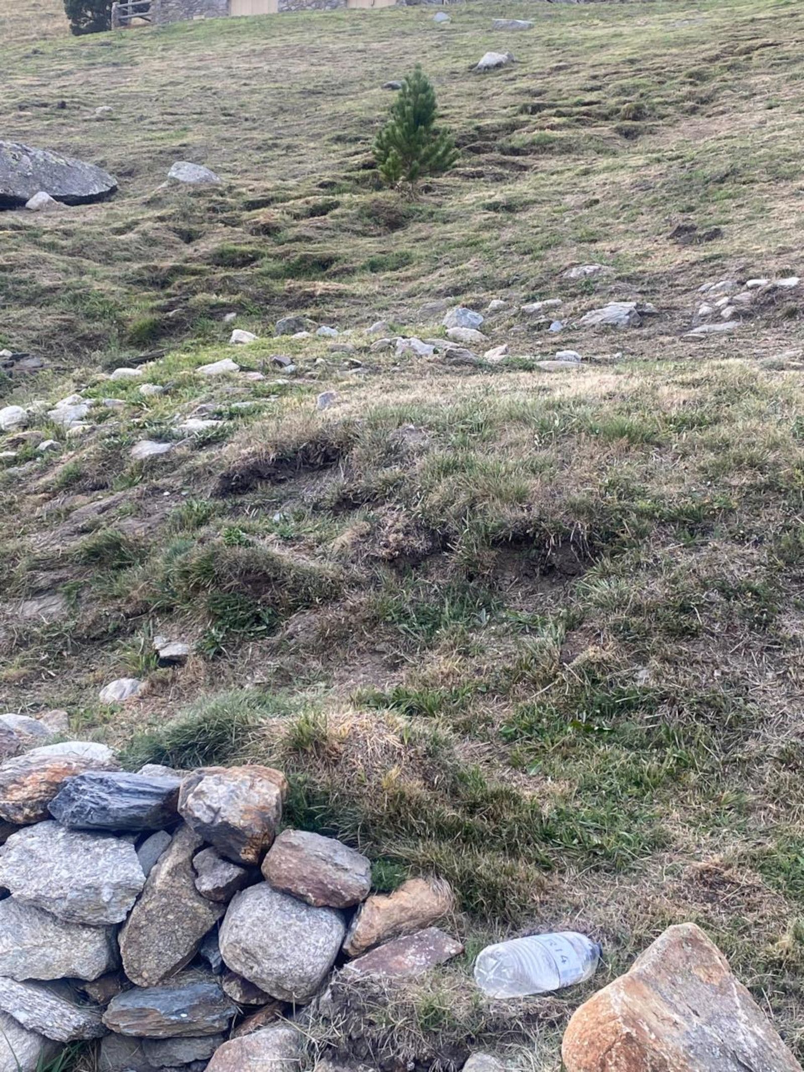 Una ampolla a la zona d'Incles.
