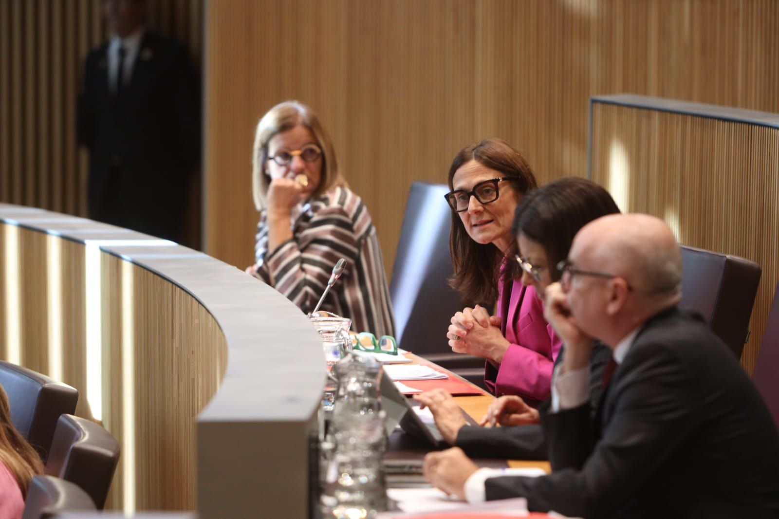 La ministra de Justícia i Interior, Ester Molné, aquest matí, durant la sessió del Consell General. La ministra de Justícia i Interior, Ester Molné, aquest matí, durant la sessió del Consell General.