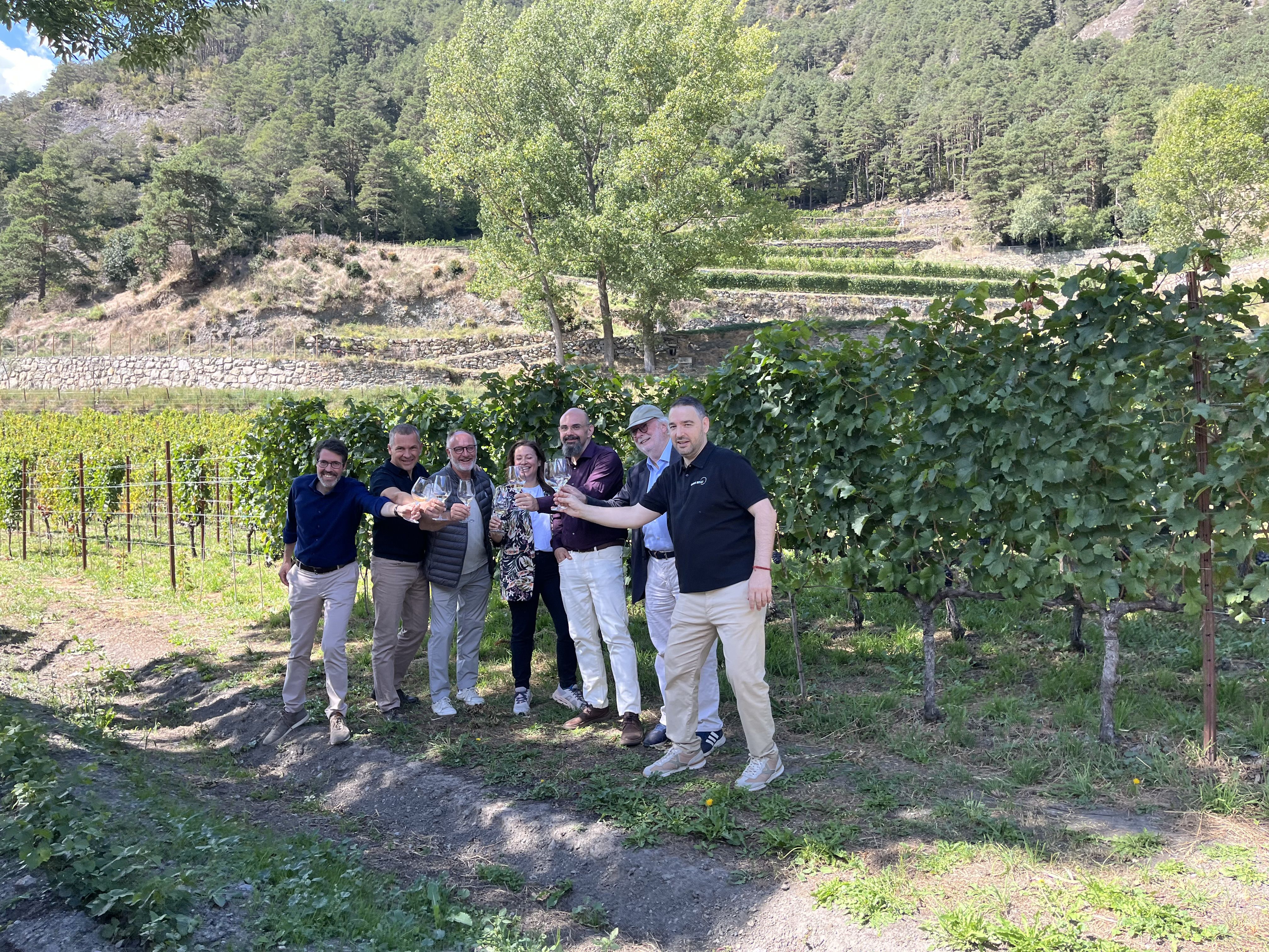 Tast dels vins del celler casus belli. Tast dels vins del celler casus belli.