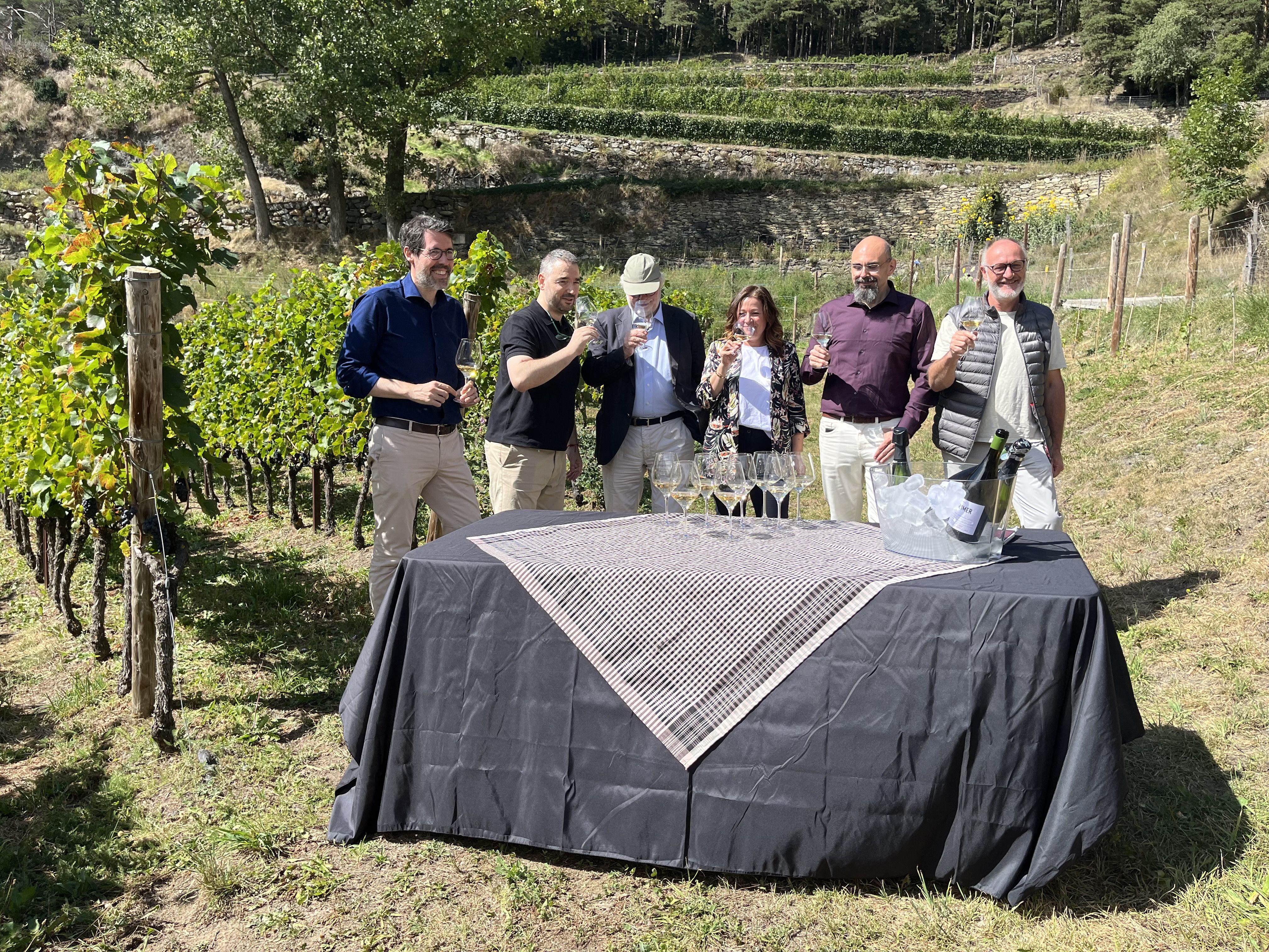 Tast dels vins de Casus Belli. La portaveu del Sindicat, Rebeca Bonache.