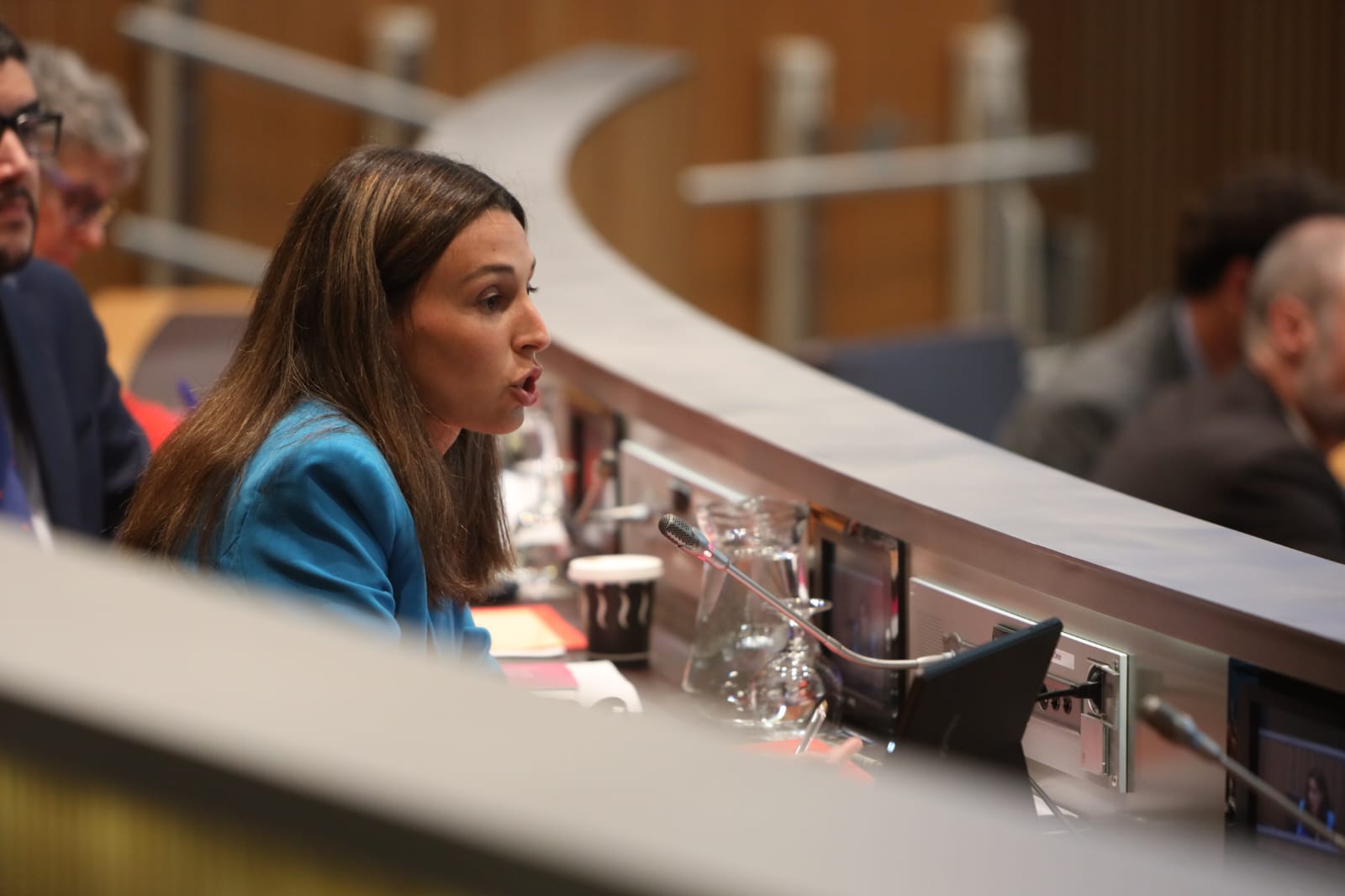 Laia Moliné durant la darrera sessió de control al Govern.