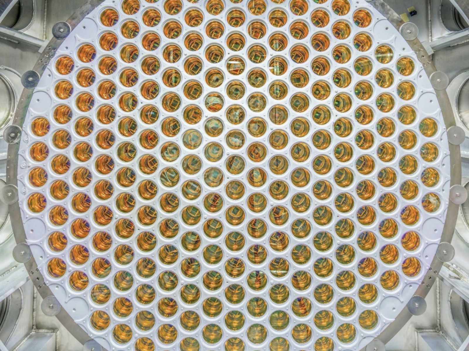 La capçalera de la cambra de xenó de LUX-ZEPLIN amb tots els seus tubs fotomultiplicadors - Crèdit: LZ Collaboration La portaveu del Sindicat, Rebeca Bonache.