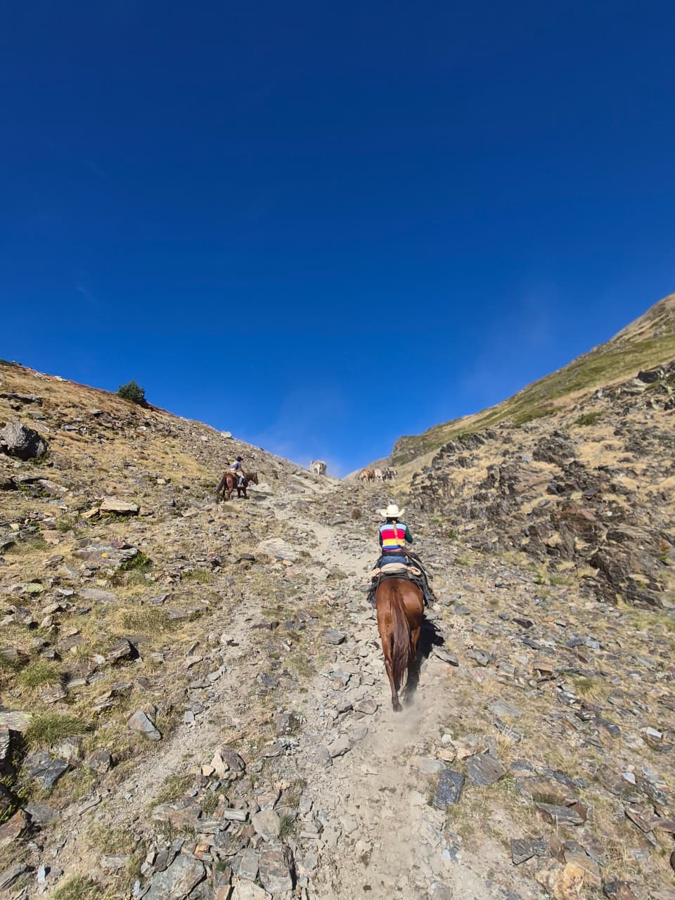 Els vaquers han estat els guies d'aquesta excursió. Els vaquers han estat els guies d'aquesta excursió.