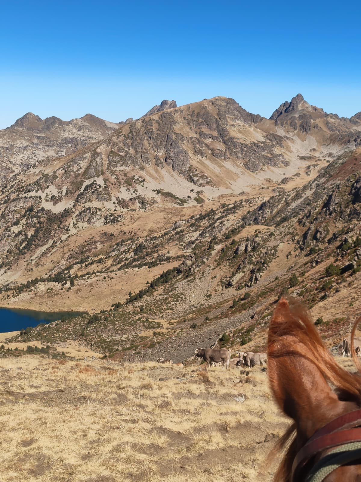 Les muntanyes d'Andorra. Les muntanyes d'Andorra.