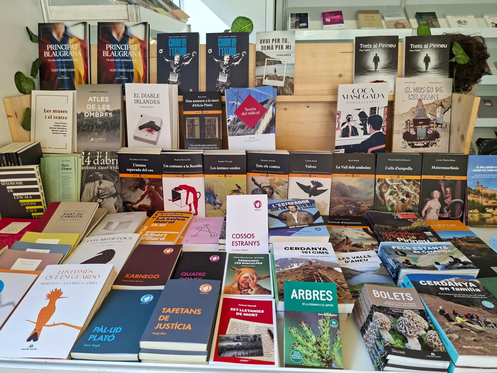 Llibres d'Andorra a la Setmana del Llibre en Català de Barcelona. Llibres d'Andorra a la Setmana del Llibre en Català de Barcelona.