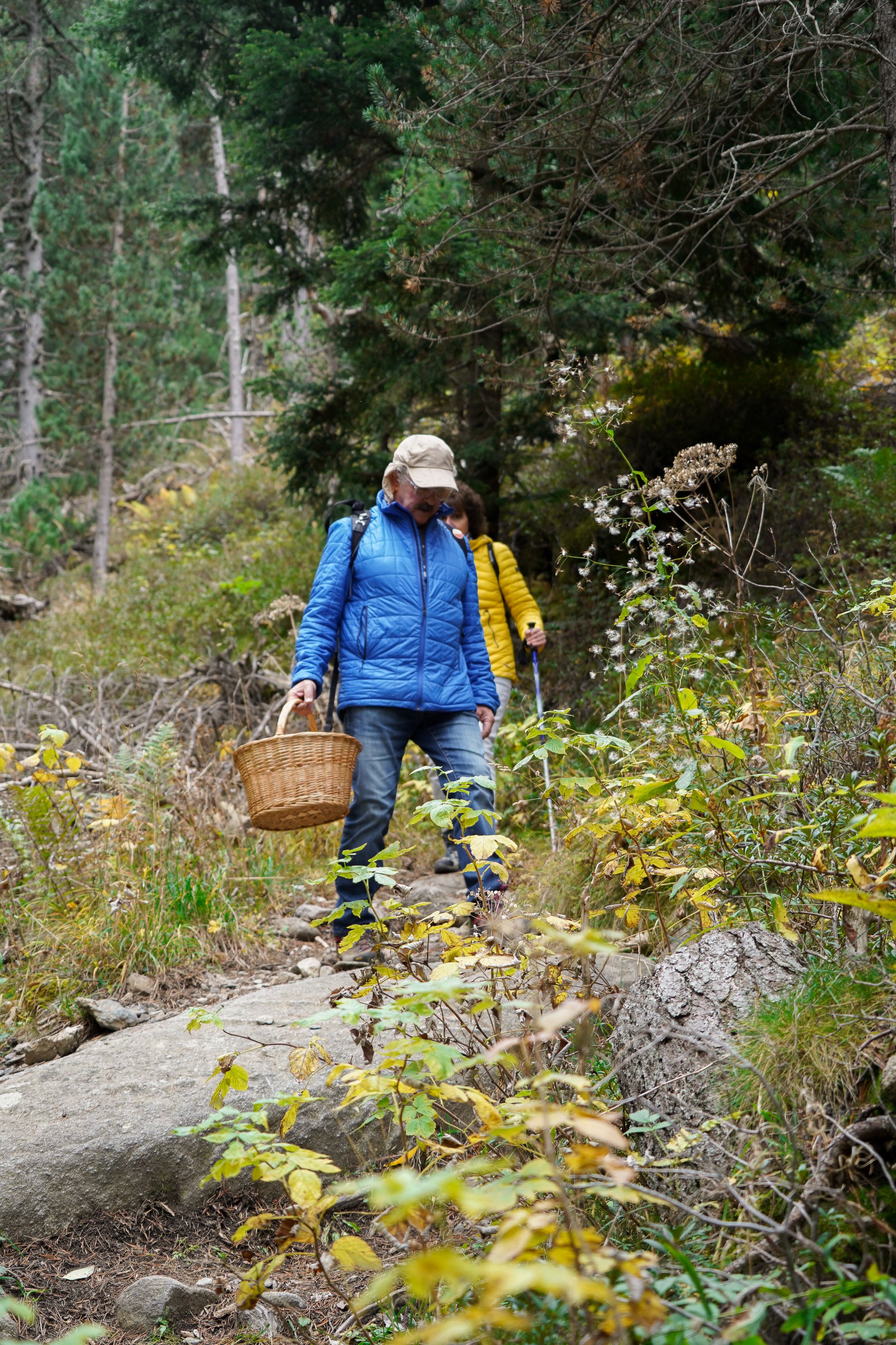Encamp presenta una nova edició de les Rutes de Tardor amb vies ferrades, senderisme i sortides boletaires.
