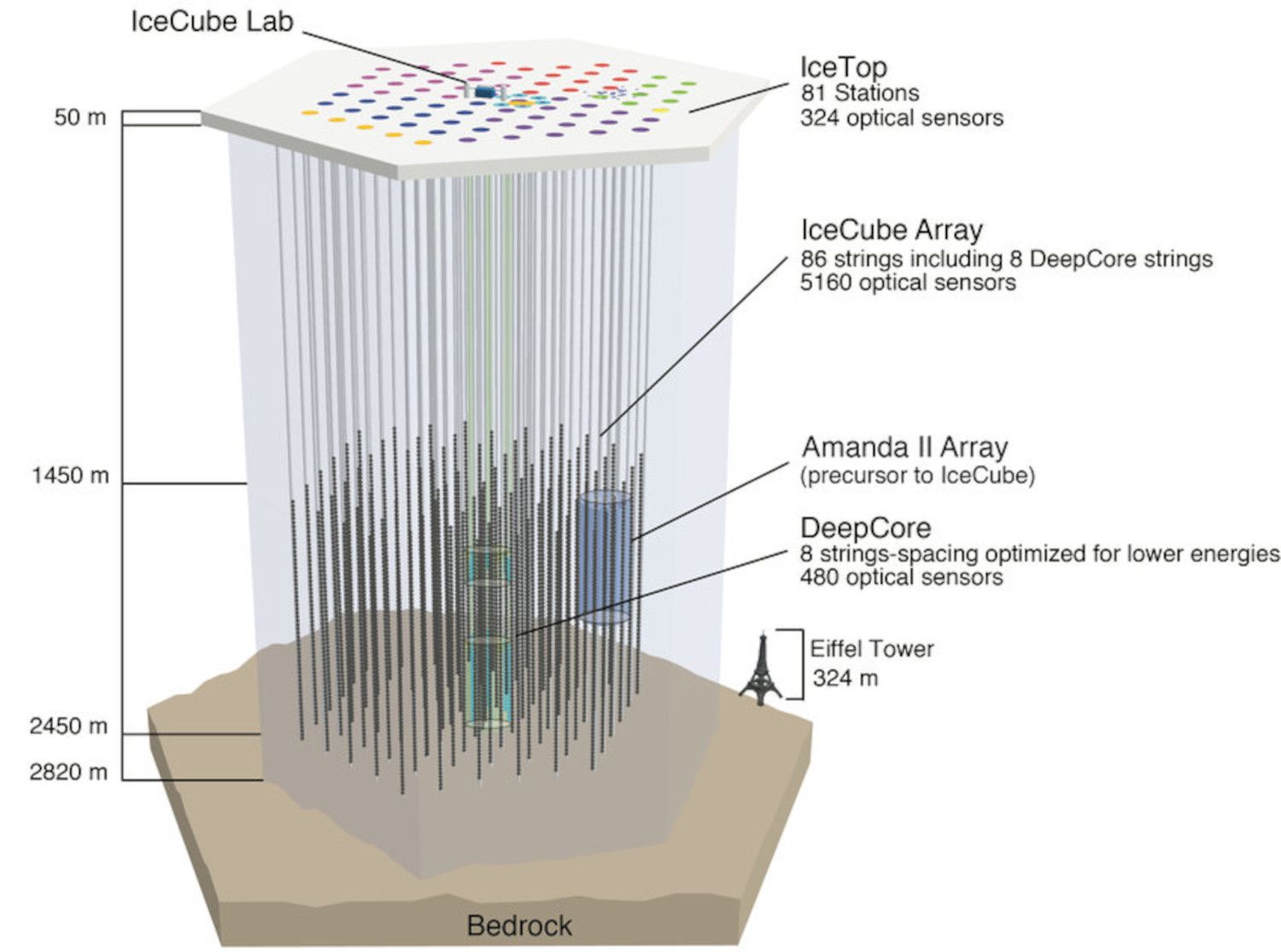 Esquema de la distribució de les línies amb els detectors del IceCube La portaveu del Sindicat, Rebeca Bonache.