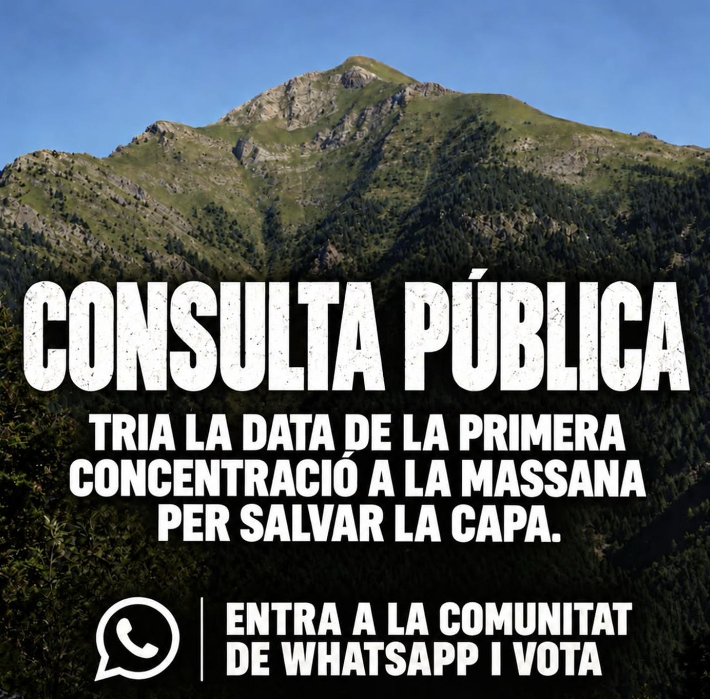 Imatge de promoció de la consulta pública a través de les xarxes socials. Imatge de promoció de la consulta pública a través de les xarxes socials.