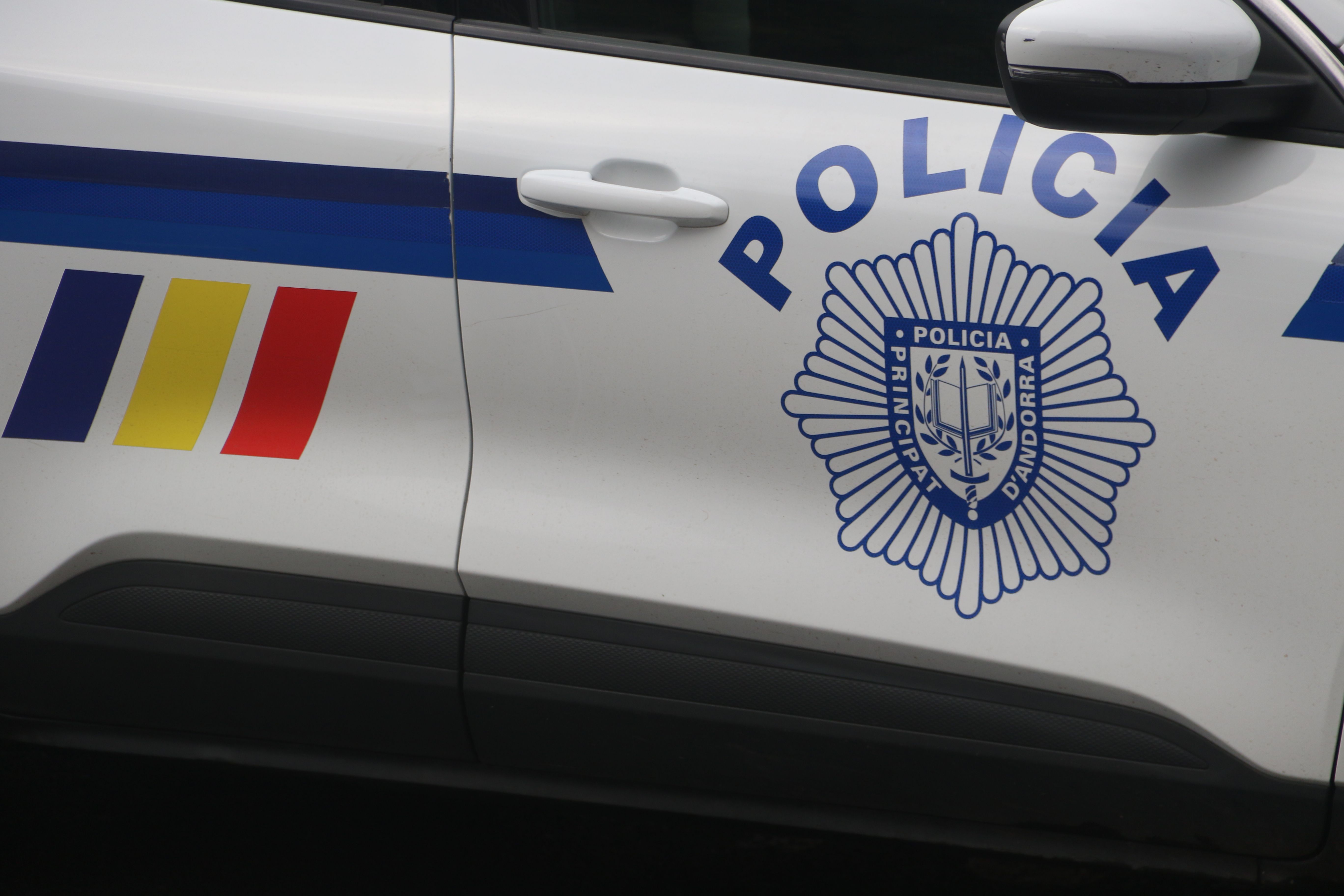 La policia va fer la detenció divendres a la tarda. La policia va fer la detenció divendres a la tarda.