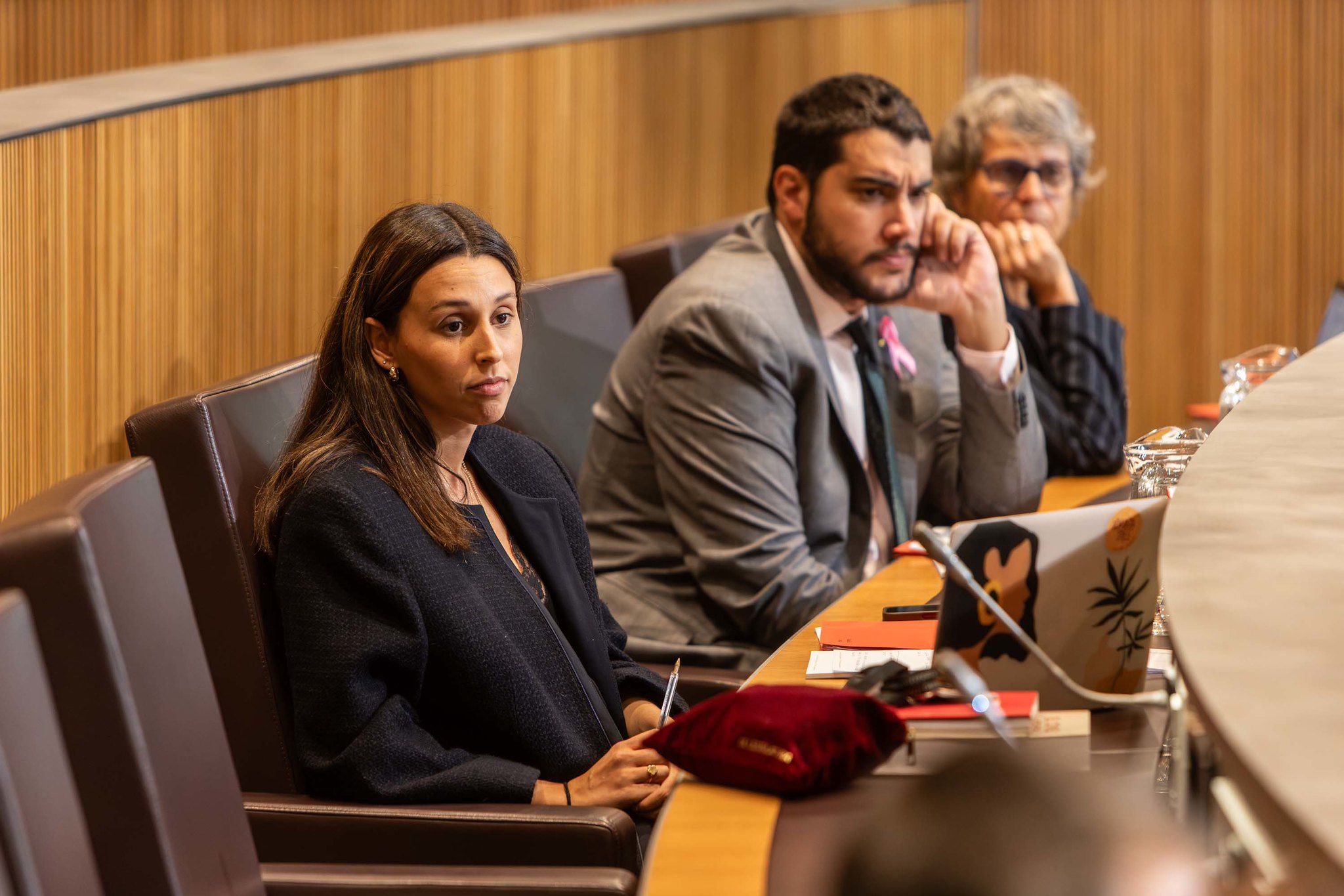 Els consellers del grup parlamentari socialdemòcrata. Els consellers del grup parlamentari socialdemòcrata.