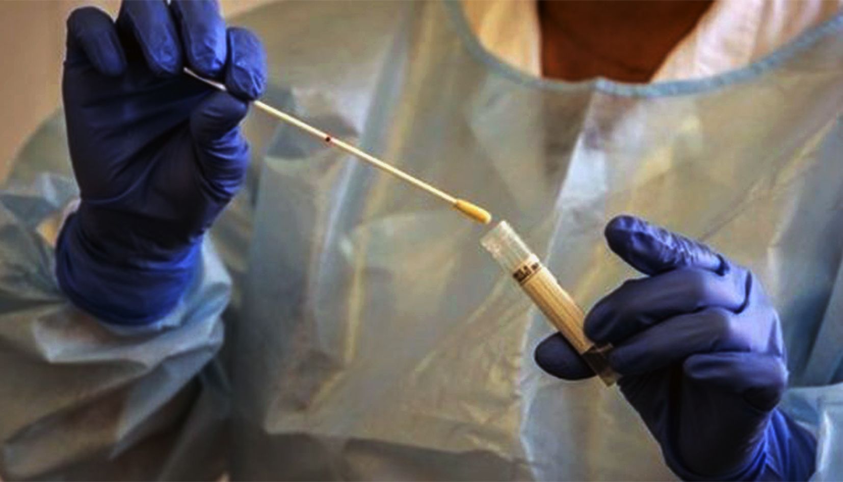 Realització d'una PCR.