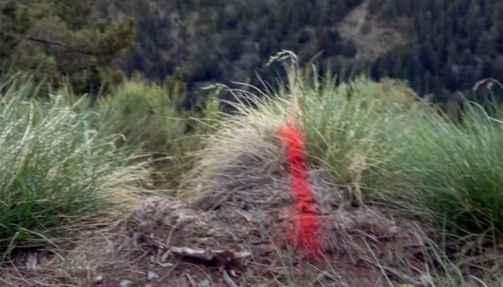 Una de les pintades aparegudes a la zona on s'han de construir els ponts.