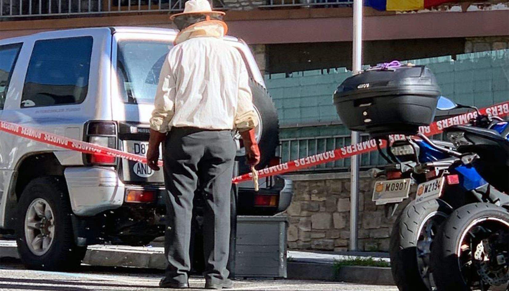 L'apicultor pren posicions per intentar recuperar les abelles.