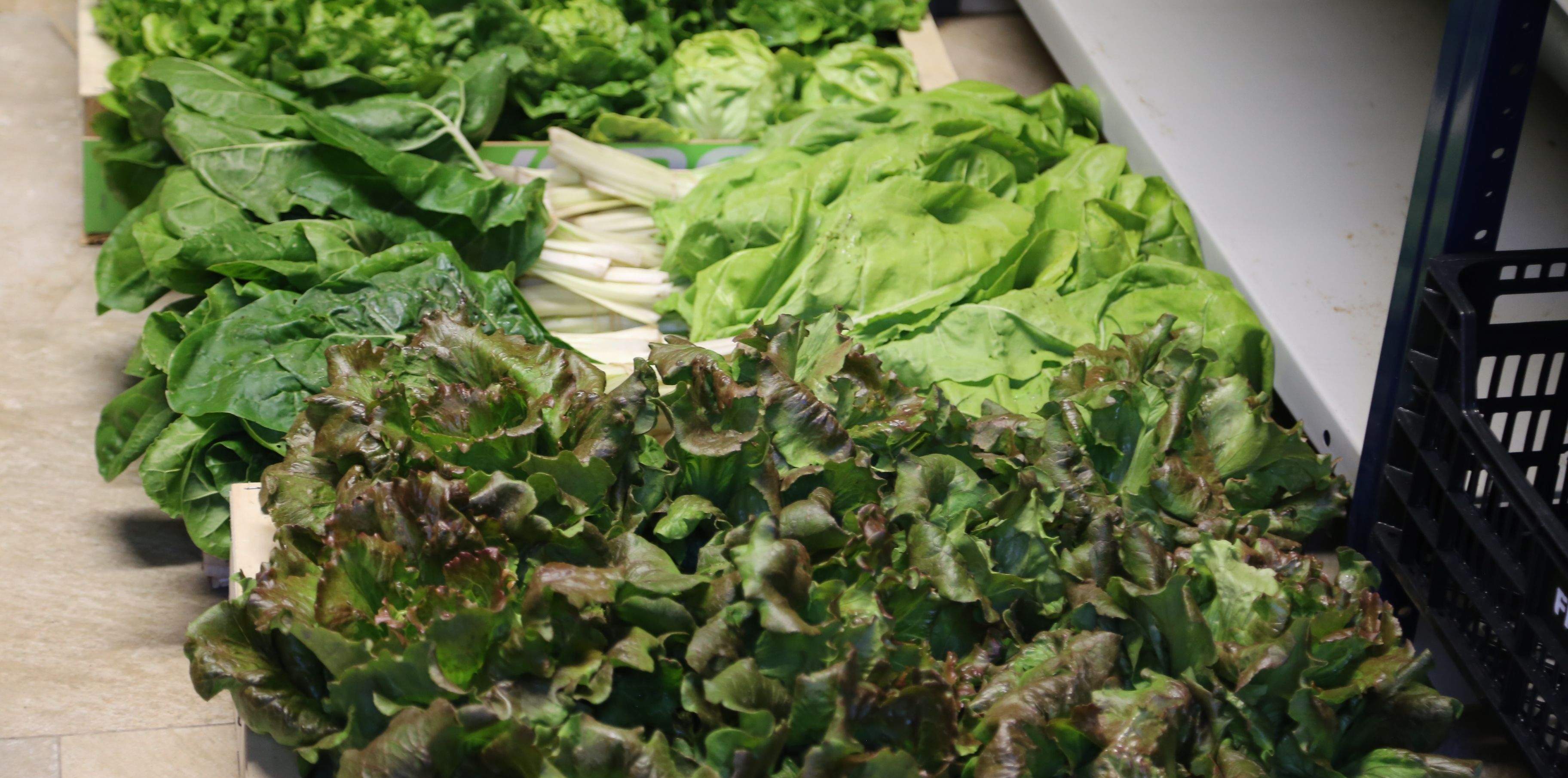 Verdures de 'L'hort solidari'.