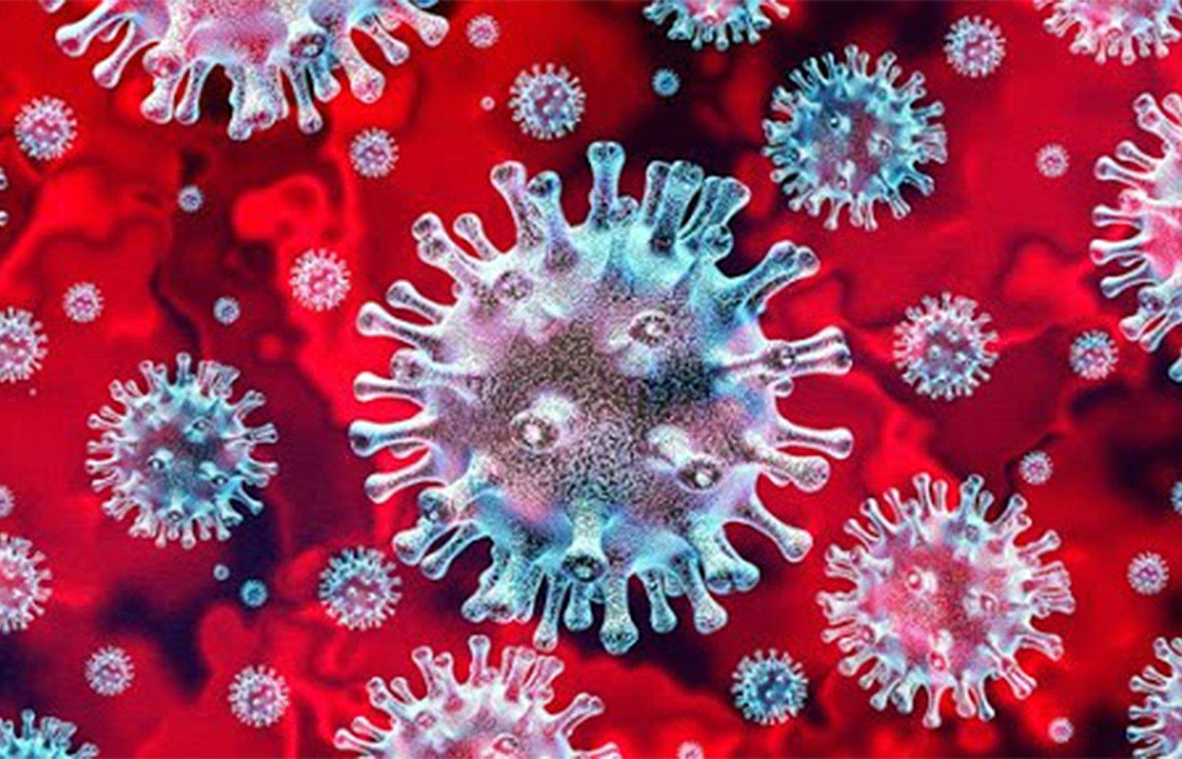Reproducció del coronavirus.