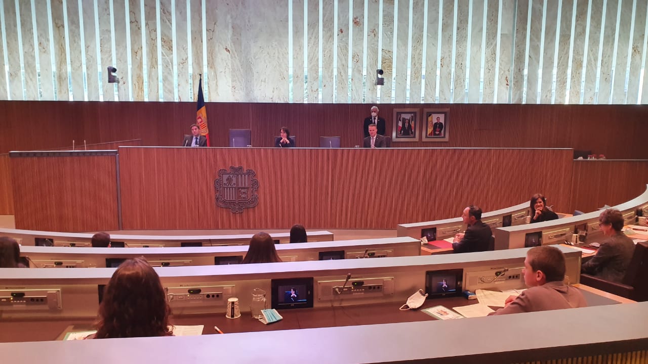 Un instant del darrer Consell General dels Joves.