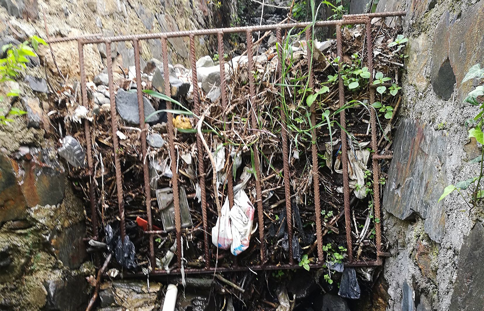 Imatge de la deixadesa que hi ha al torrent.