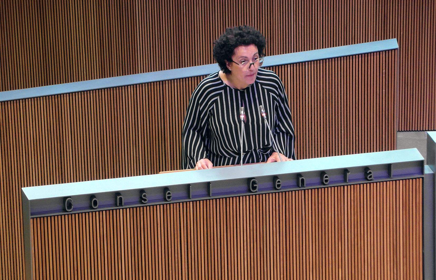 La ministra de Funció Pública, Judith Pallarès, durant la defensa de la llei.