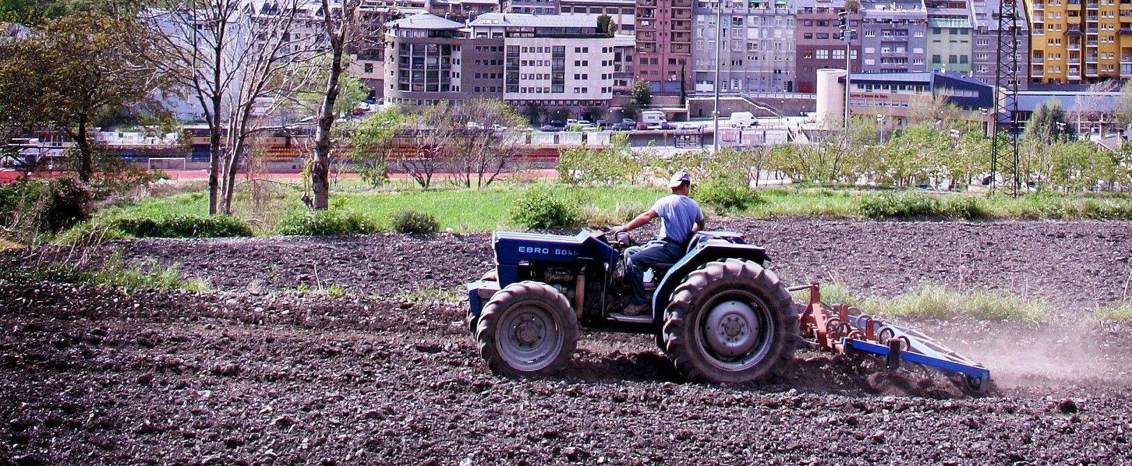 Treballs en un camp a Andorra la Vella.