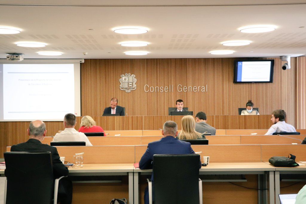 Un instant de la compereixença de Jordi Torres Falcó al Consell General.