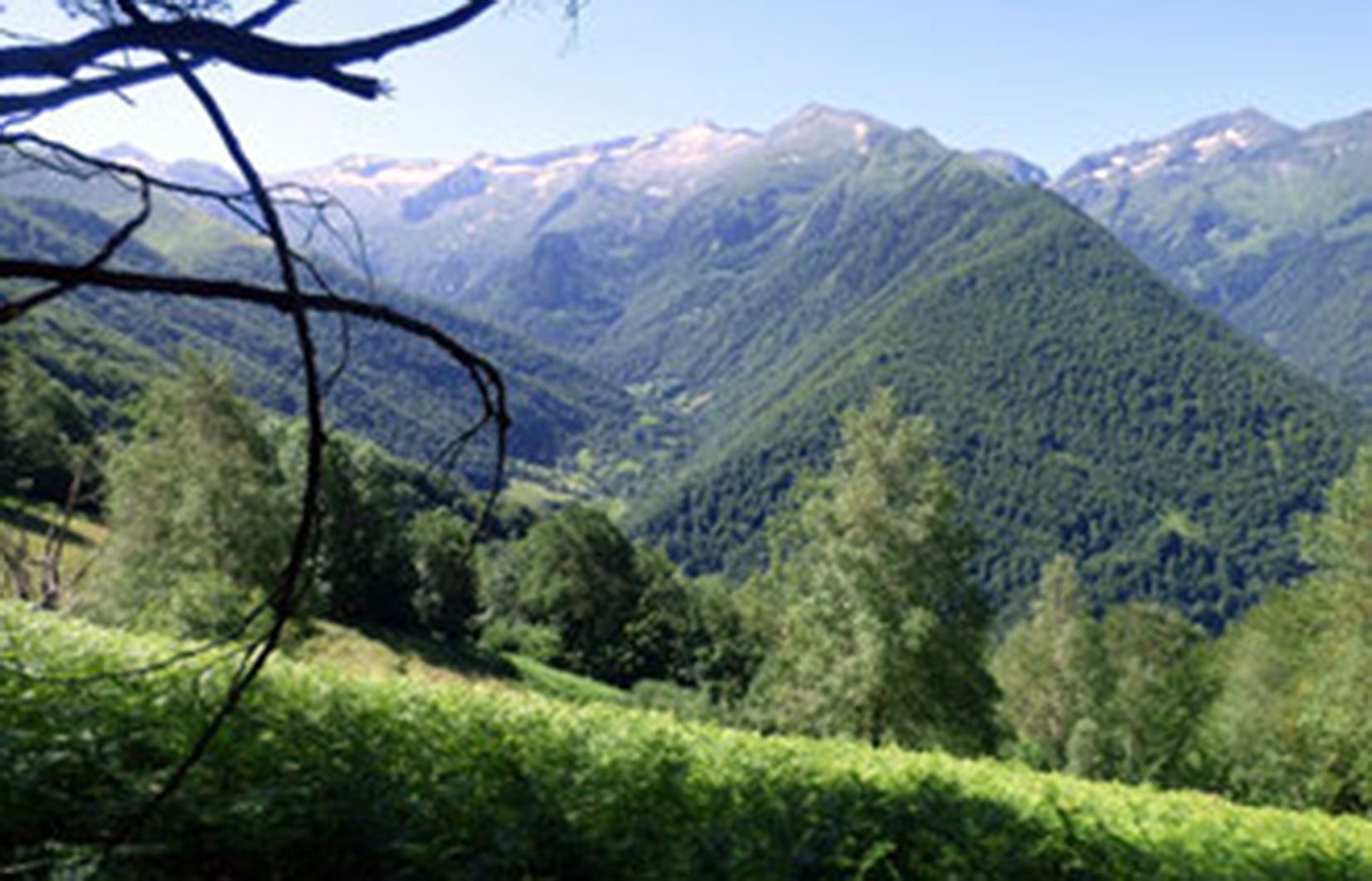 Una imatge del coll d'Escots, on s'haurien vist els óssos.