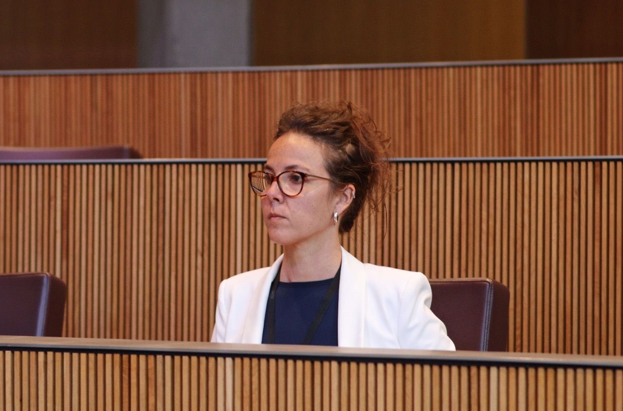 La consellera general del grup socialdemòcrata, Judith Salazar.