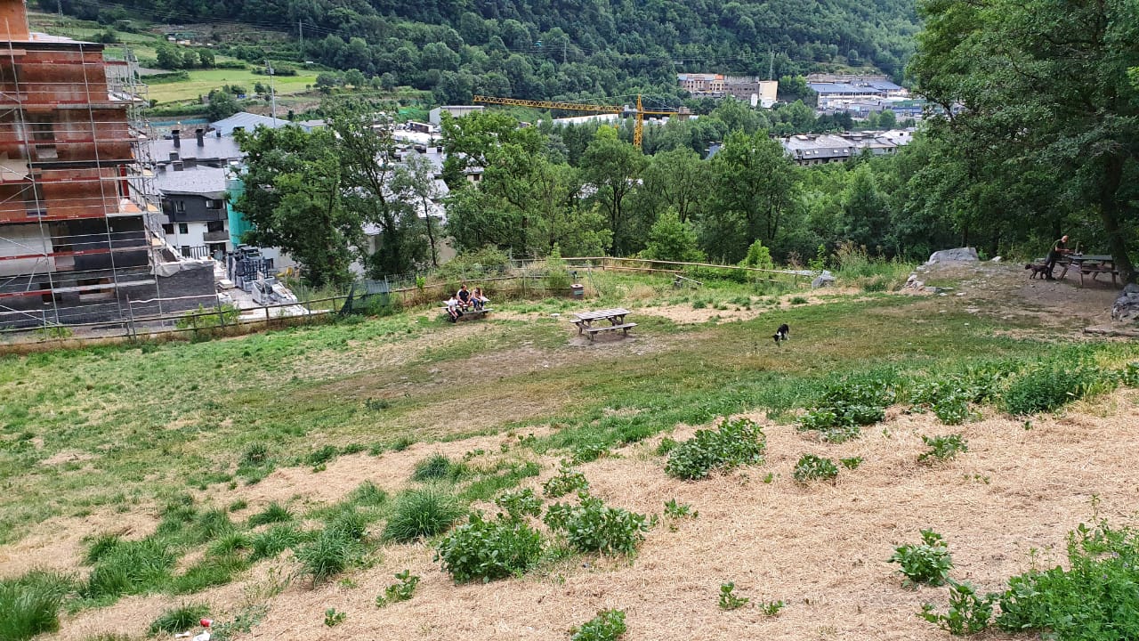 El berenador de Ciutat de Valls