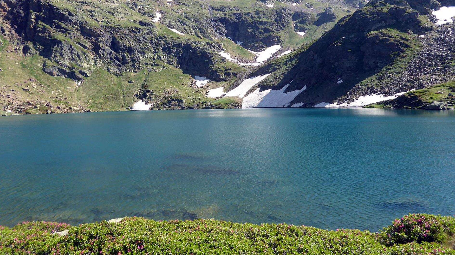 Una imatge de l'estany de Més Amunt. La portaveu del Sindicat, Rebeca Bonache.