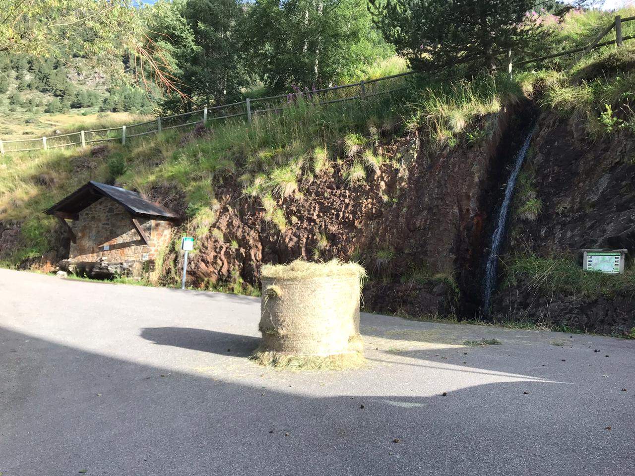 La bala al bell mig de la carretera.