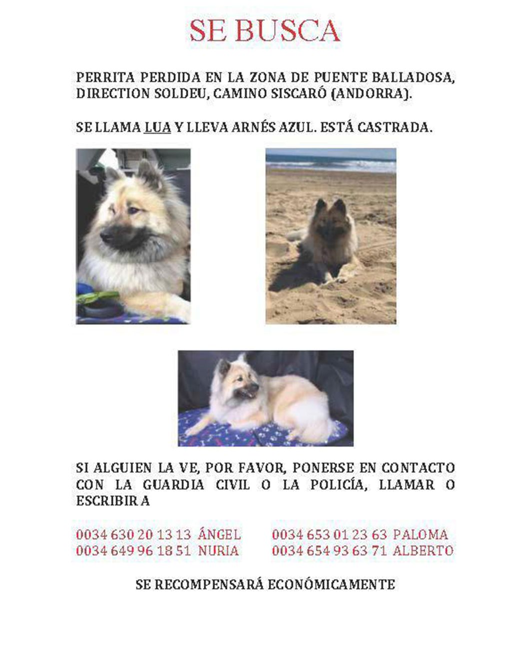 Imatges de Lua en un cartell que n'anuncia la seva pèrdua.