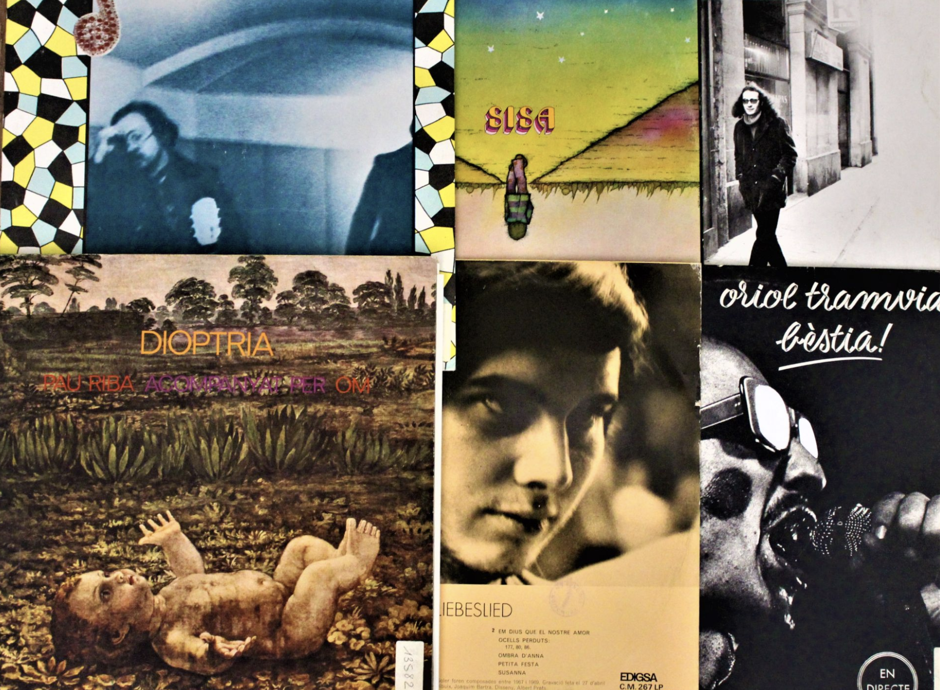 Una imatge de la mostra en línia