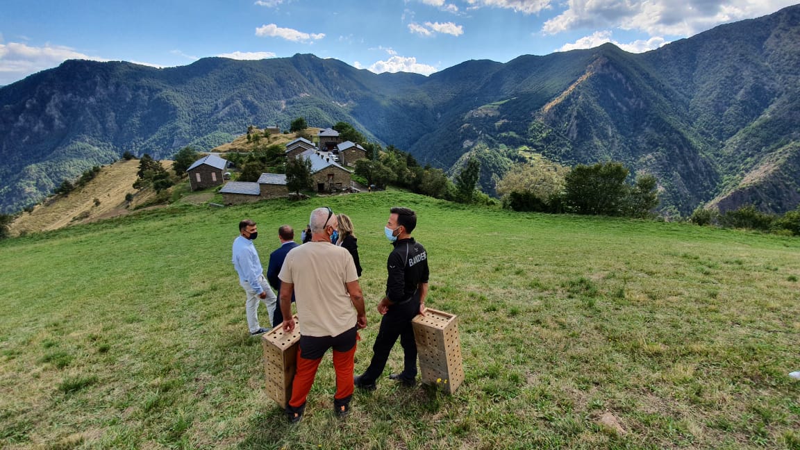 Instants després de l'alliberament de les aus