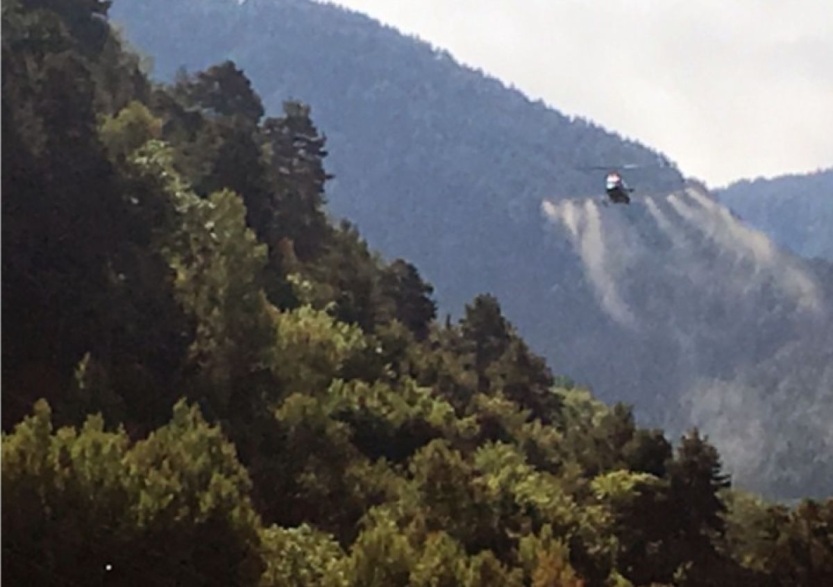 Un helicòpter fa tasques d'aplicació del tractament contra la processionària.