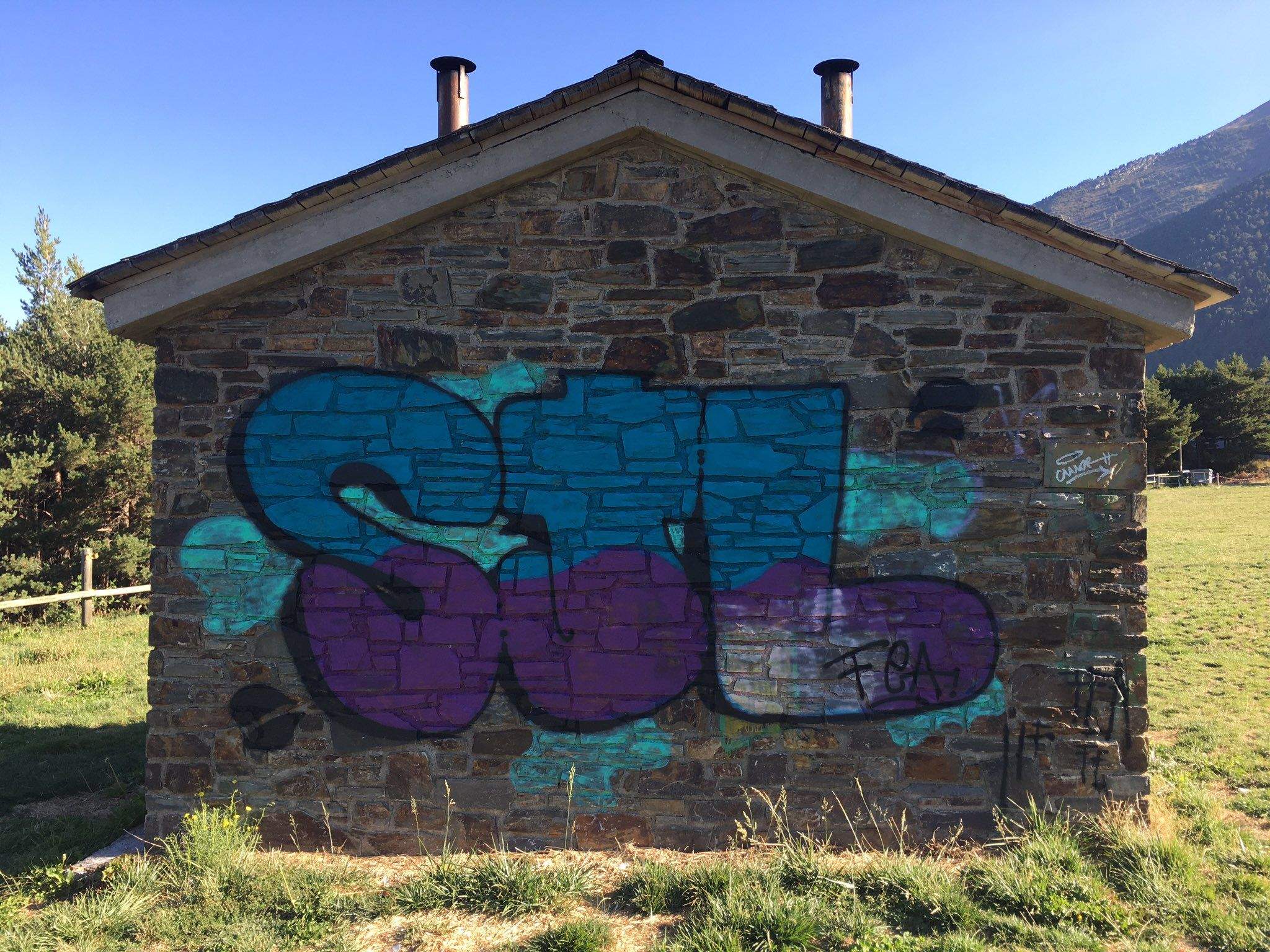 Una de les pintades aparegudes al berenador.