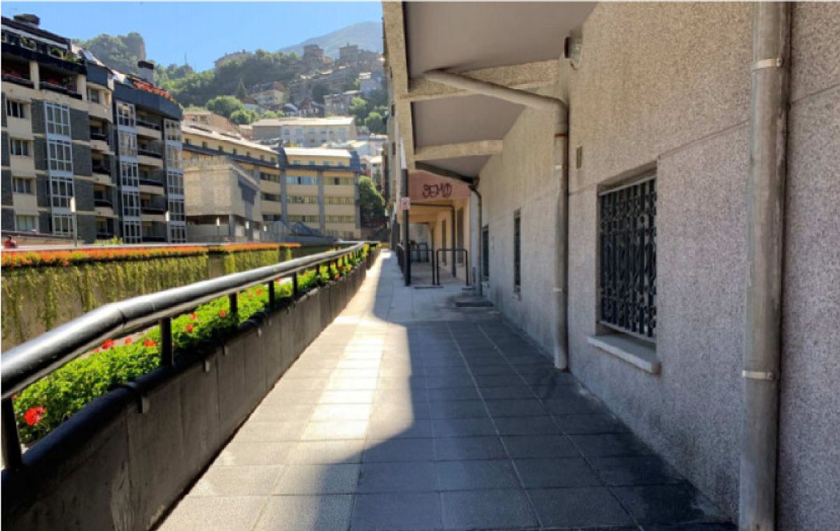 Un dels trams del passeig sobre el quals s'actuarà.