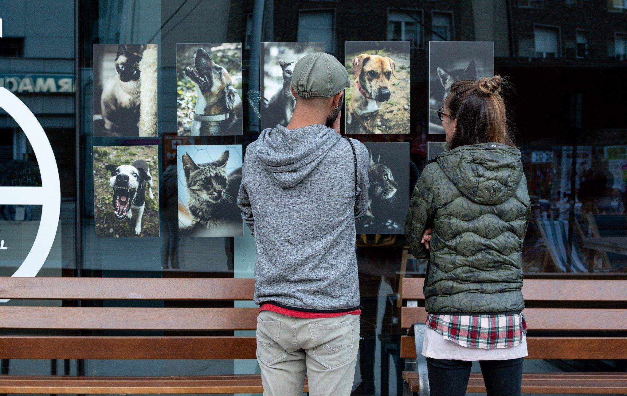 Dos visitants a la primera edició de la fira.