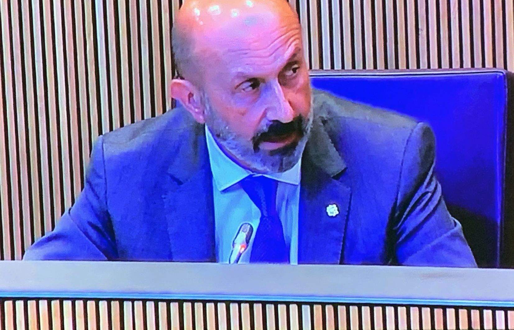 El titular de Salut, Joan Martínez Benazet, durant la seva intervenció al Consell General.