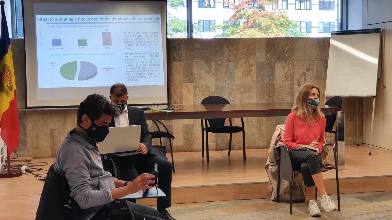 La reunió entre el ministeri i les associacions, aquest matí a l'edifici administratiu del Prat del Rull